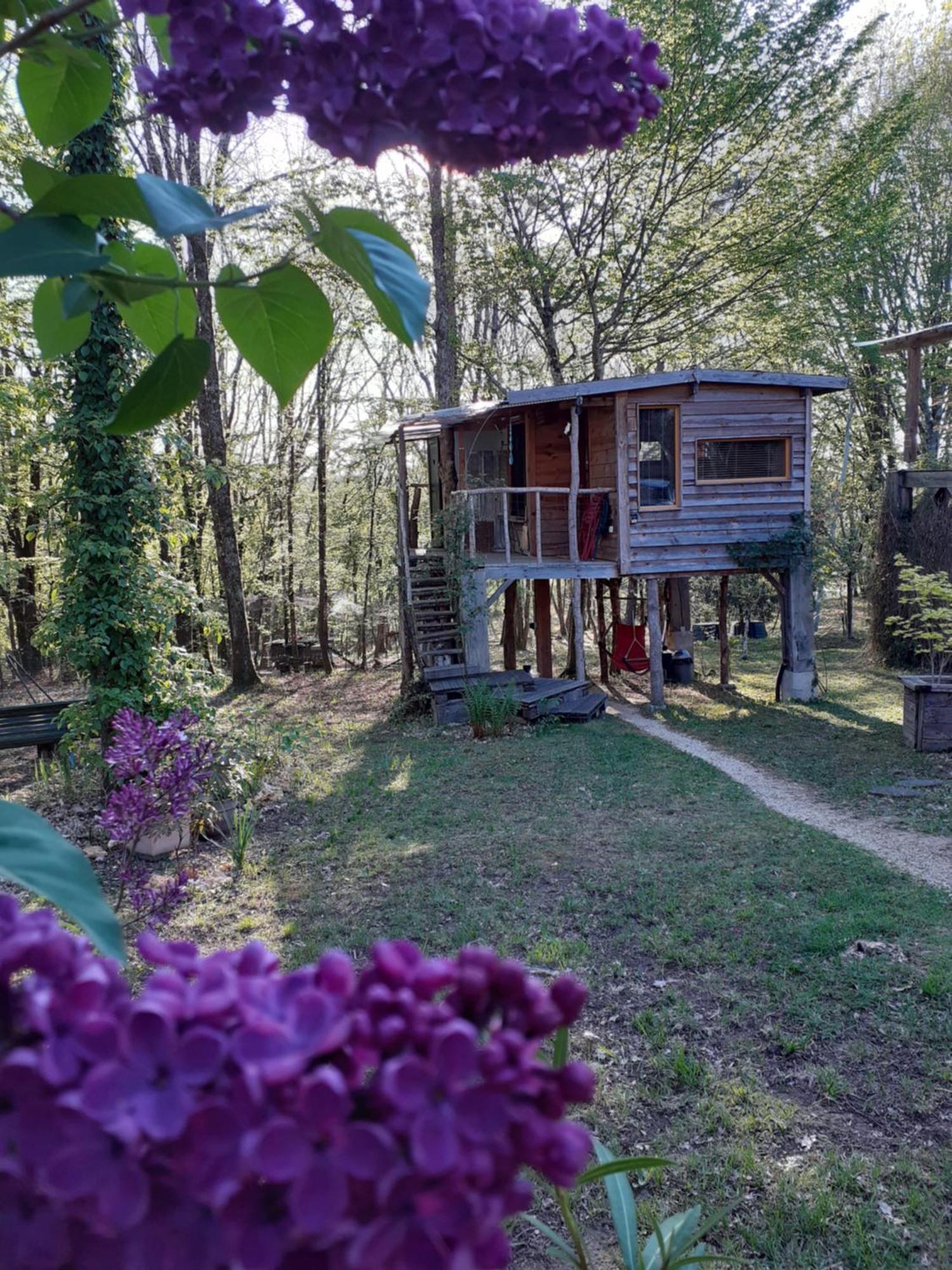 Couze-et-Saint-Front La Cabane De L'Oiseau المظهر الخارجي الصورة